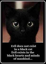 Image result for Funny Cat Quotes Black