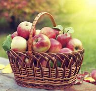 Image result for Healthiest Apple's