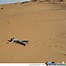 Image result for Sahara Desert Meme
