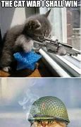 Image result for War Cat Meme