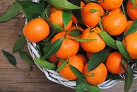 Image result for Orange Fruit iPhone Wallpaper