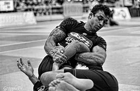 Image result for Brazilian Jiu Jitsu Fighters