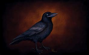 Image result for The Crow Background