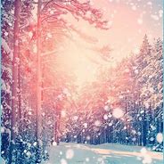 Image result for iPad Pro Winter Wallpaper