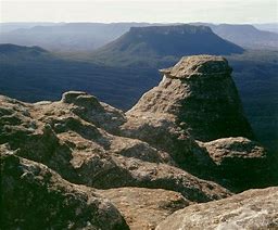 Image result for Garden Stepping Stones