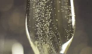 Image result for Champagne Bubbles in a Glass Black Background