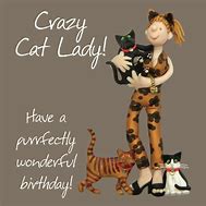 Image result for Cat Lady Birthday Meme