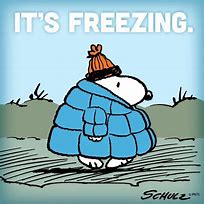 Image result for Funny Sayings About Cold Weather