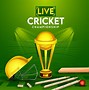 Image result for Cricket Tournament Pop Up Banner