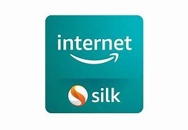 Image result for Silk Browser Fire