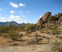 Image result for Sonoran Desert Landscape