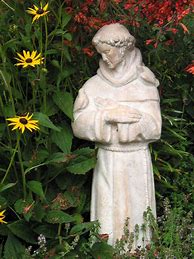Image result for St. Francis Cartoon
