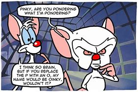 Image result for Body Build Pinky and the Brain Meme