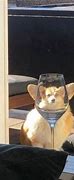 Image result for Distorted Cat Meme