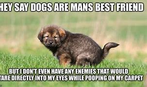 Image result for Dog Poop Meme