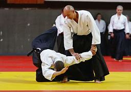 Image result for Combat Aikido