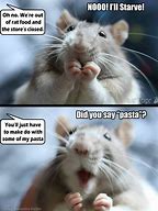 Image result for Rubber Rats Meme