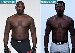 Image result for Fighter Body Type