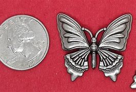 Image result for Butterfly Conchos
