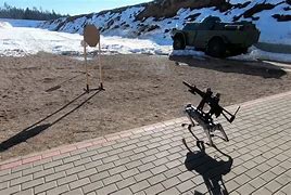 Image result for Robot Dog with Machine Gun
