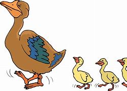 Image result for A Duck Can Stump Clip Art