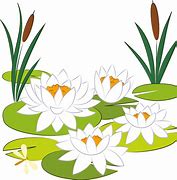 Image result for Lily Pad Flower Cartoon