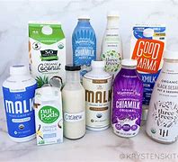 Image result for Plant-Based Milk Products