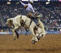 Image result for Rodeo