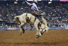 Image result for Rodeo Cowboys Pics