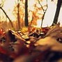 Image result for Free Printable Autumn Quotes