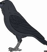 Image result for Raven Draw