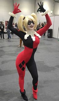 Image result for Harley Quinn Old Costume