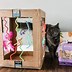 Image result for Cat Toy Ideas