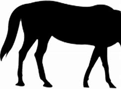 Image result for Horse Outline Transparent
