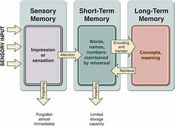Image result for Unified Theory of Memory