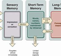 Image result for Brgs Memory Cycle
