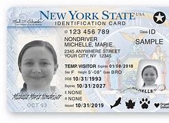 Image result for State Identification Card