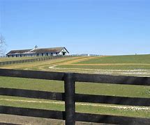 Image result for Thoroughbred Horse Farms Lexington KY