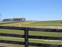 Image result for Thoroughbred Horse Pasture Pictures