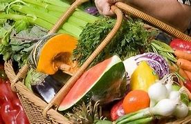 Image result for Vegetarian Person