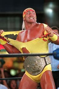 Image result for Hulk Hogan 90s