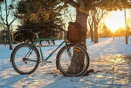 Image result for Winter Cycle