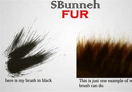 Image result for Fur Brushes Photoshop