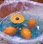Image result for Animal Cell DIY Project