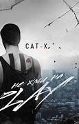 Image result for Cat X