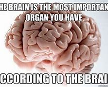 Image result for Sharing a Brain Meme