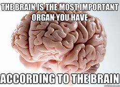 Image result for Growing Brain Meme