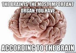 Image result for Busy Brain Meme