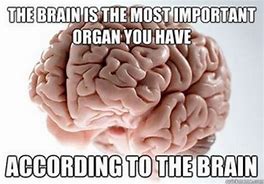 Image result for Brain Map Meme