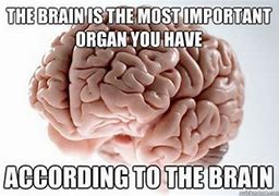 Image result for Your Brain Meme